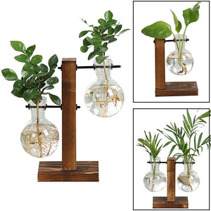 terrarium hydroponic plant vases Terrarium Hydroponic Plant Vases Vintage Flower Pot Transparent Vase W – dupuisbob22