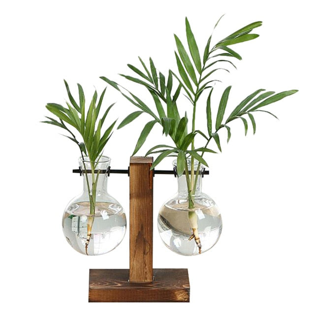 terrarium hydroponic plant vases Terrarium Hydroponic Plant Vases Vintage Flower Pot Transparent Vase W – dupuisbob22