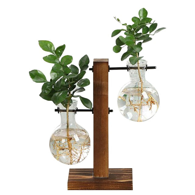 glass hydroponic plant vases Terrarium Hydroponic Plant Vases Vintage Flower Pot Transparent Vase W – dupuisbob22